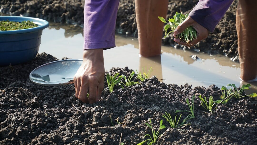 woman working on organic farm