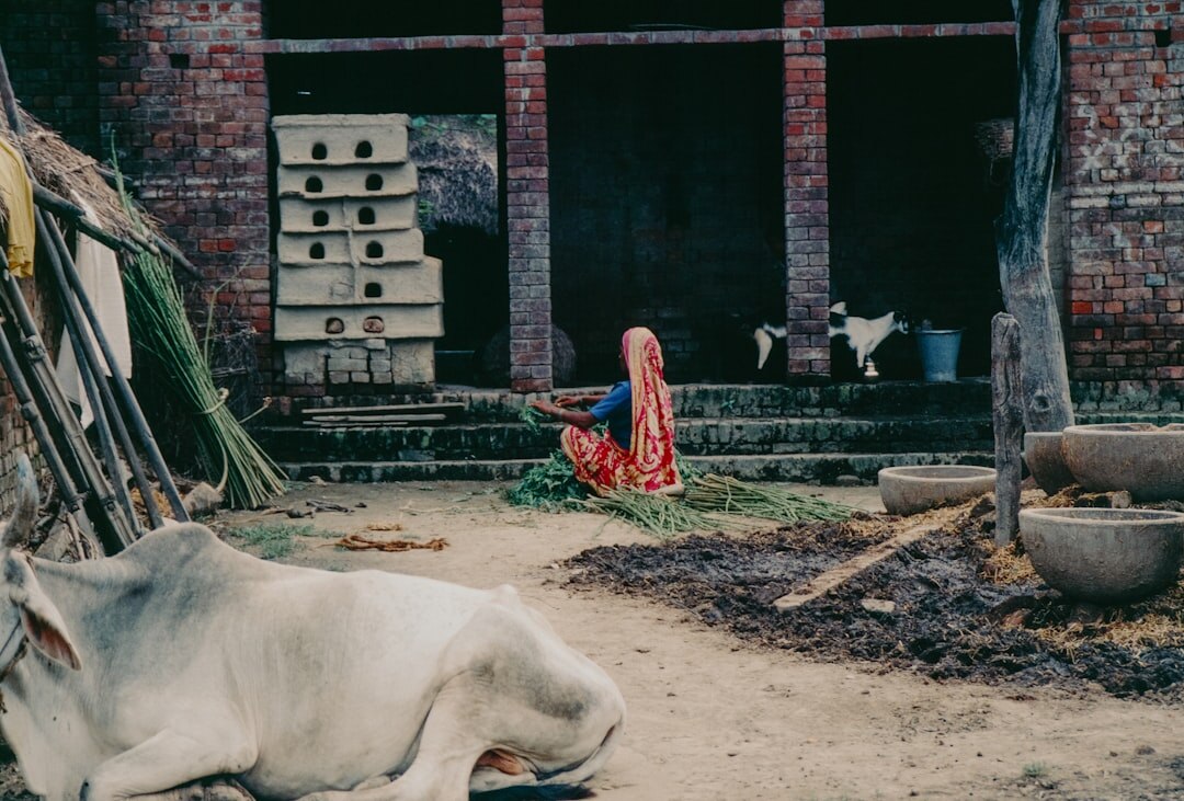 documentary photographer in village